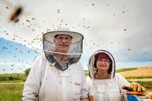 image 80%2853%29 0