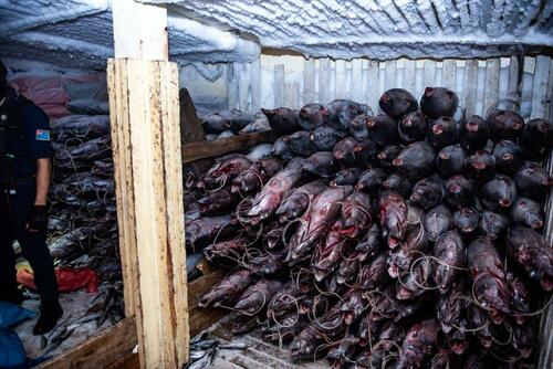 'Going Dark': The High-Tech Tricks Behind Illegal Chinese Fishing In The Pacific