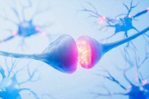 How To Feel Joy In A Dopamine-Saturated World