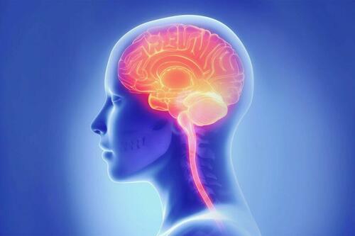How A Bad Night's Sleep Affects The Brain's Cleaning System