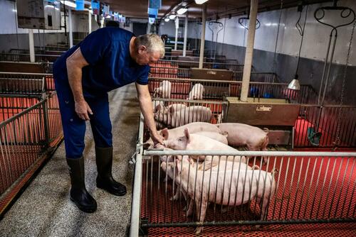 US–UK Trade Deal Highlights Gap In Agricultural Practices thumbnail