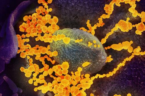 Nasal Spray May Reduce Risk Of COVID-19 Infection: Study