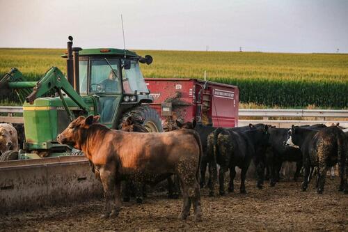 What Can We Do About The Agrarian Collapse?