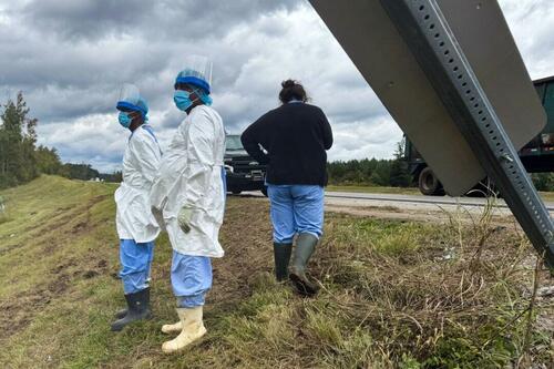 Mississippi Mom Murks Escaped Monkey After Feds Fail To Find