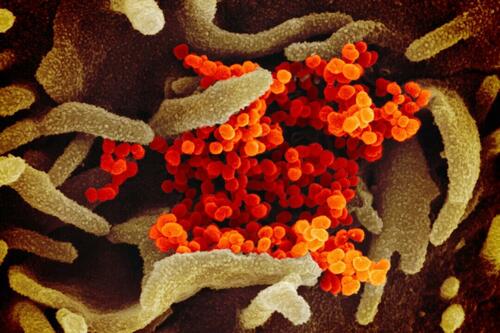 CDC: New COVID Variant Estimated To Be No. 1 Strain In US