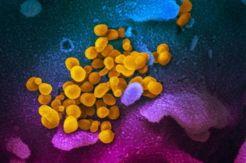 21 States Across US Now Reporting COVID 'Razor Throat' Variant