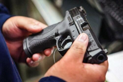 Convicted Non-Violent Felons Can Own Guns, Ninth Circuit Rules