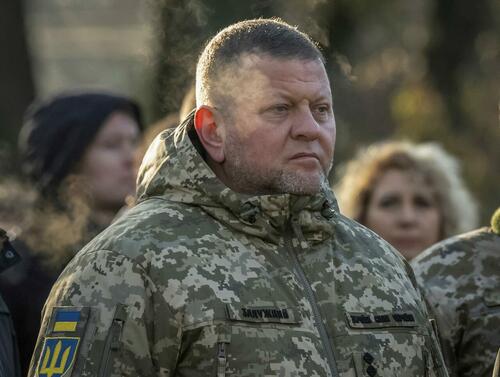 ‘Mired In Soviet Decision-Making’: Report Pins Immense Losses On Zelensky’s Firing Of Gen. Zaluzhny 