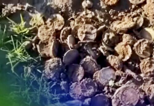 ‘The Most Insane Thing Ever’ – Man Finds Huge Hoard Of Civil War Gold On Kentucky Farm