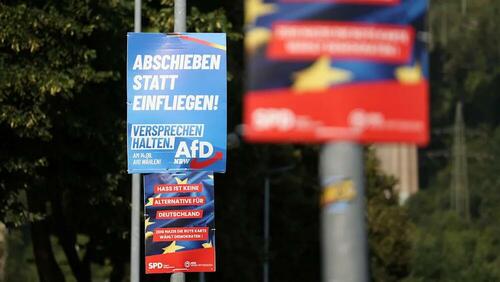 German Elections Thrown Into ‘Immense Chaos’ After Wave Of AfD Deaths Rises To Seven