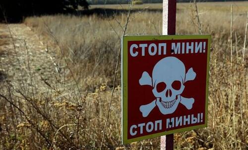 Poland Ramps Up Program To Lay Anti-Personnel Mines On Eastern Border thumbnail