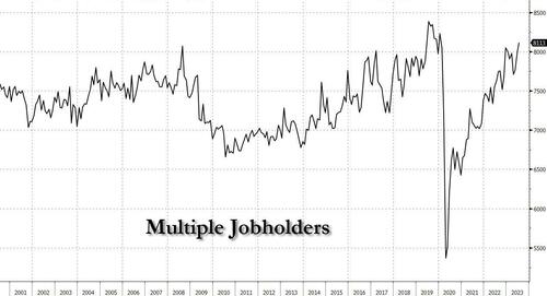 mutliple%20jobholders.jpg