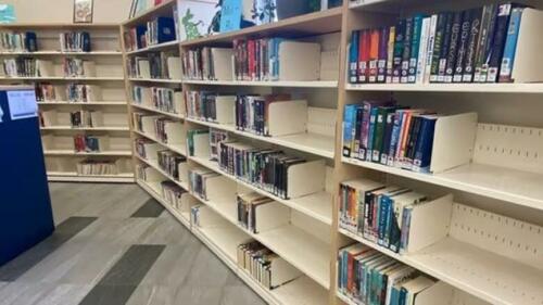 <div>Canadian School Purges Books Published Before 2008 In Bid For 'Inclusivity'</div>