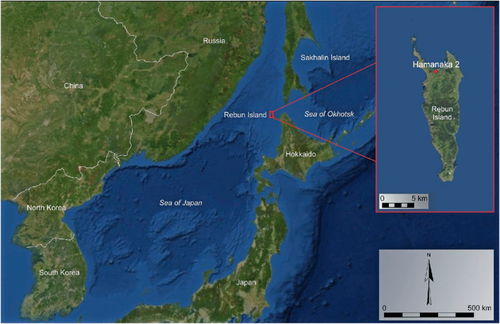 Japanese F-15s Hearth Warning Flares After Russian Spy Airplane Violates Airspace 3 Instances – FREEDOMBUNKER