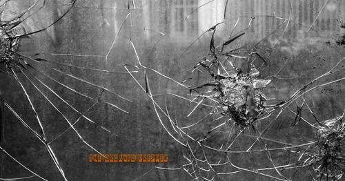 Violent Crime Is A Collapse Indicator