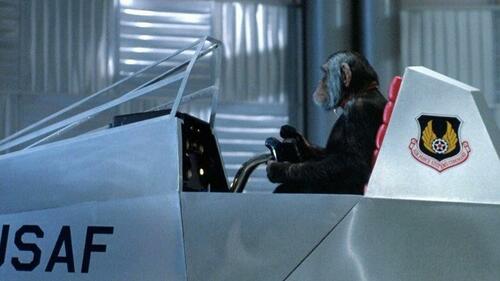 CDC Shuts Down Monkey Labs Amid Tuberculosis “Time Bomb” Fears