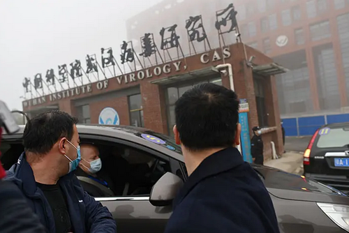 Institut de virologie chine