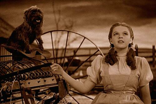 Dorothy from The Wizard of Oz