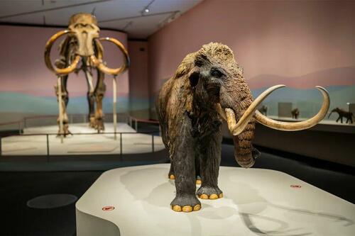 Ancient RNA Extracted From Extinct Woolly Mammoth Fuels De-Extinction Dreams