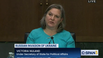 Main news thread - conflicts, terrorism, crisis from around the globe - Page 30 Nuland1